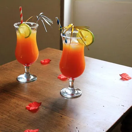 Roc'amour Maison d'hôtes Roquemaure (Gard)